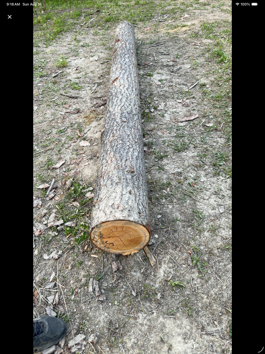Barrel view