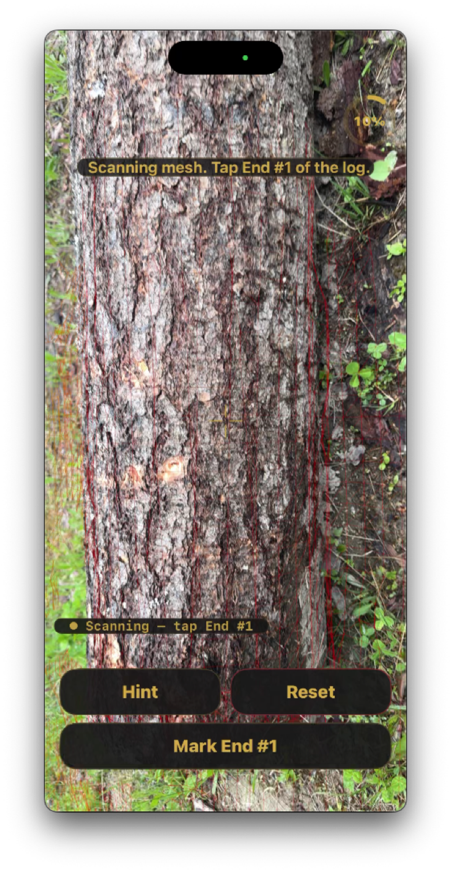 Walking the first side of the log, scanning mesh visible