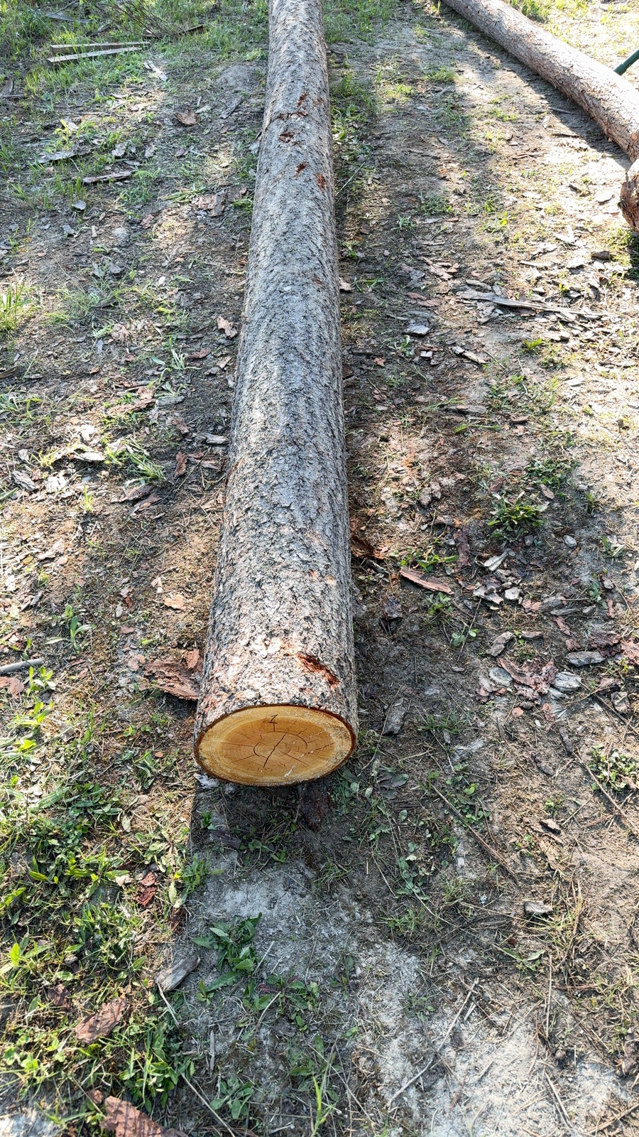 Log 1 barrel photo