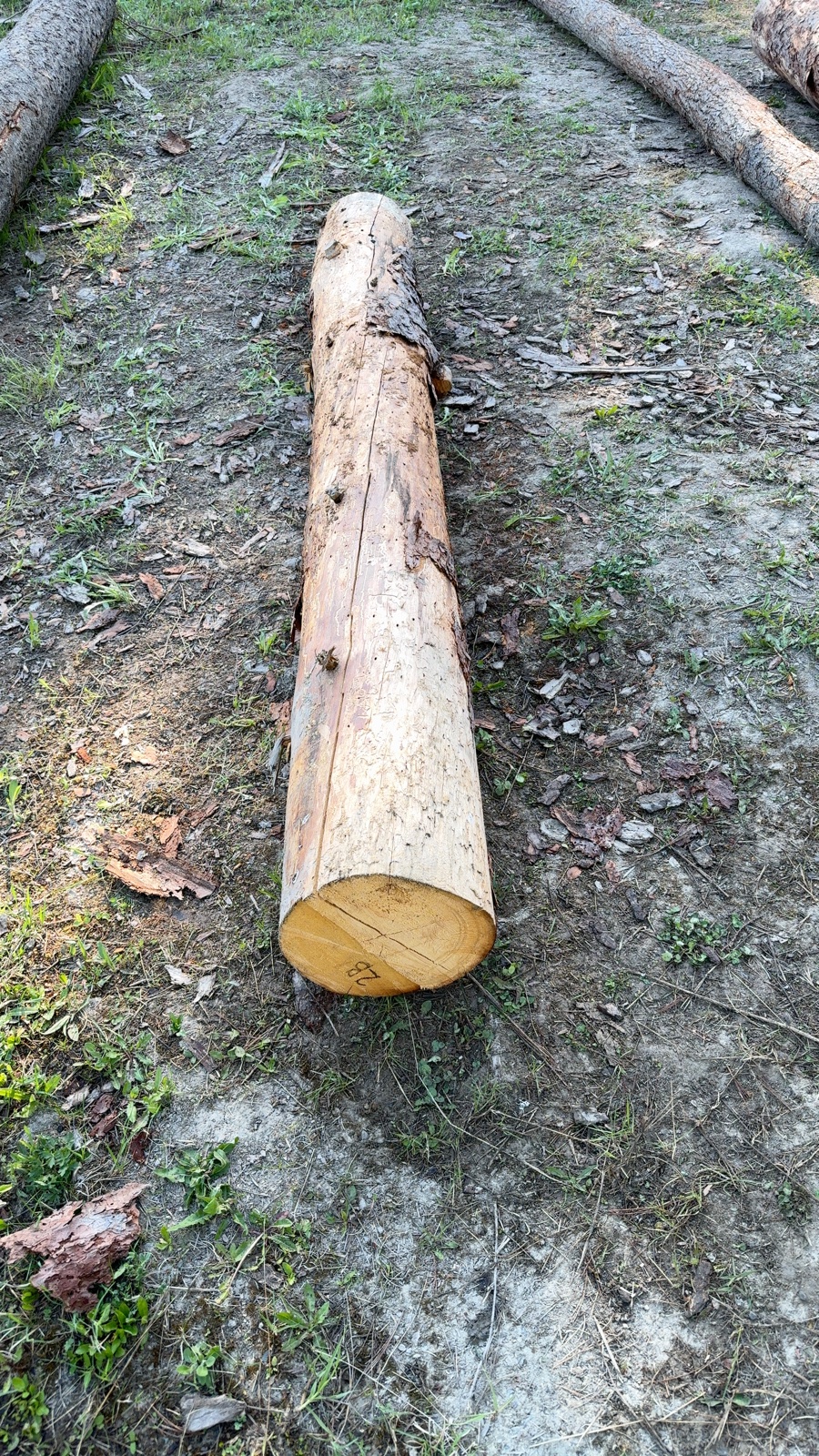 Log 2 barrel photo