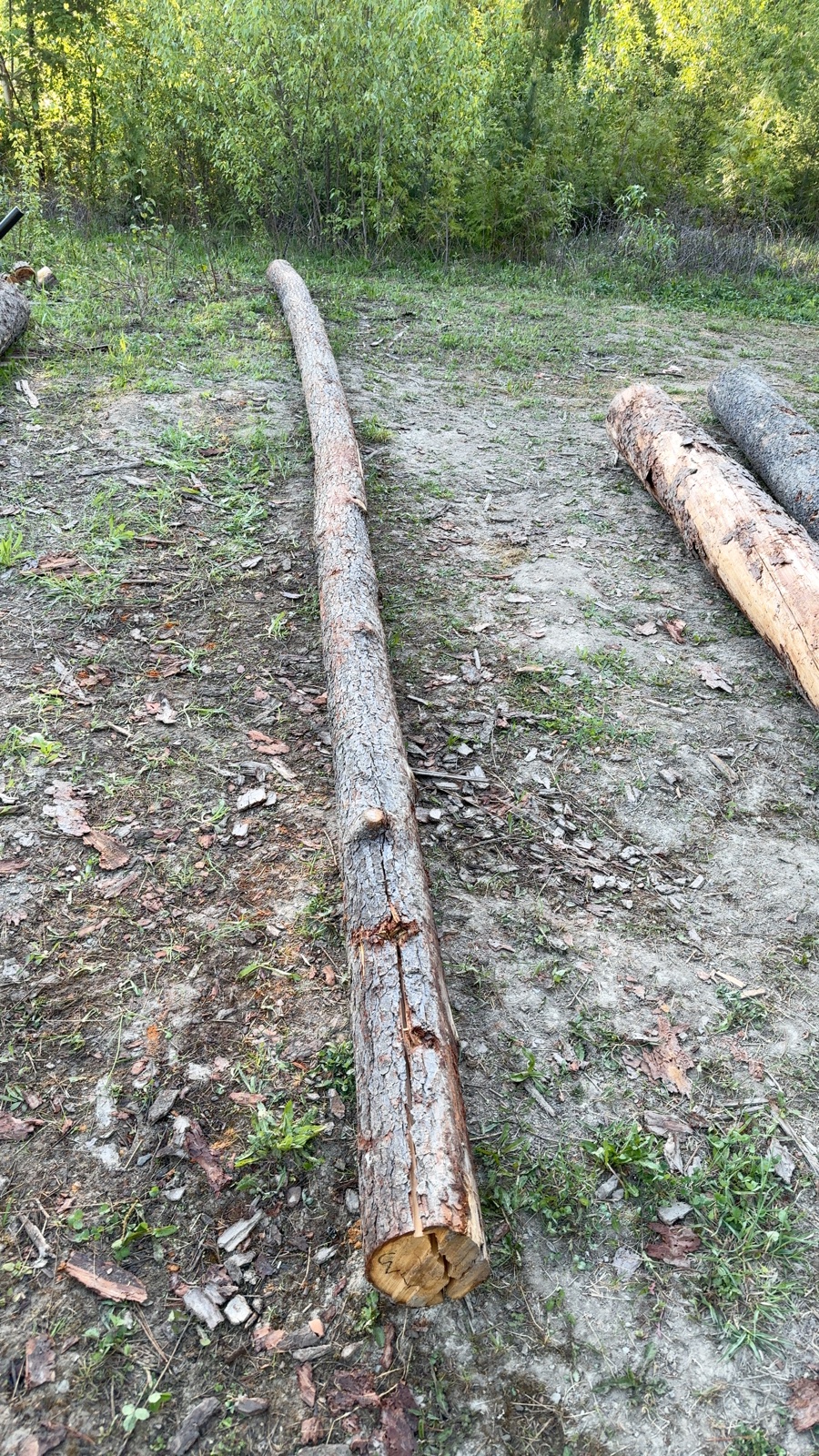 Log 3 barrel photo