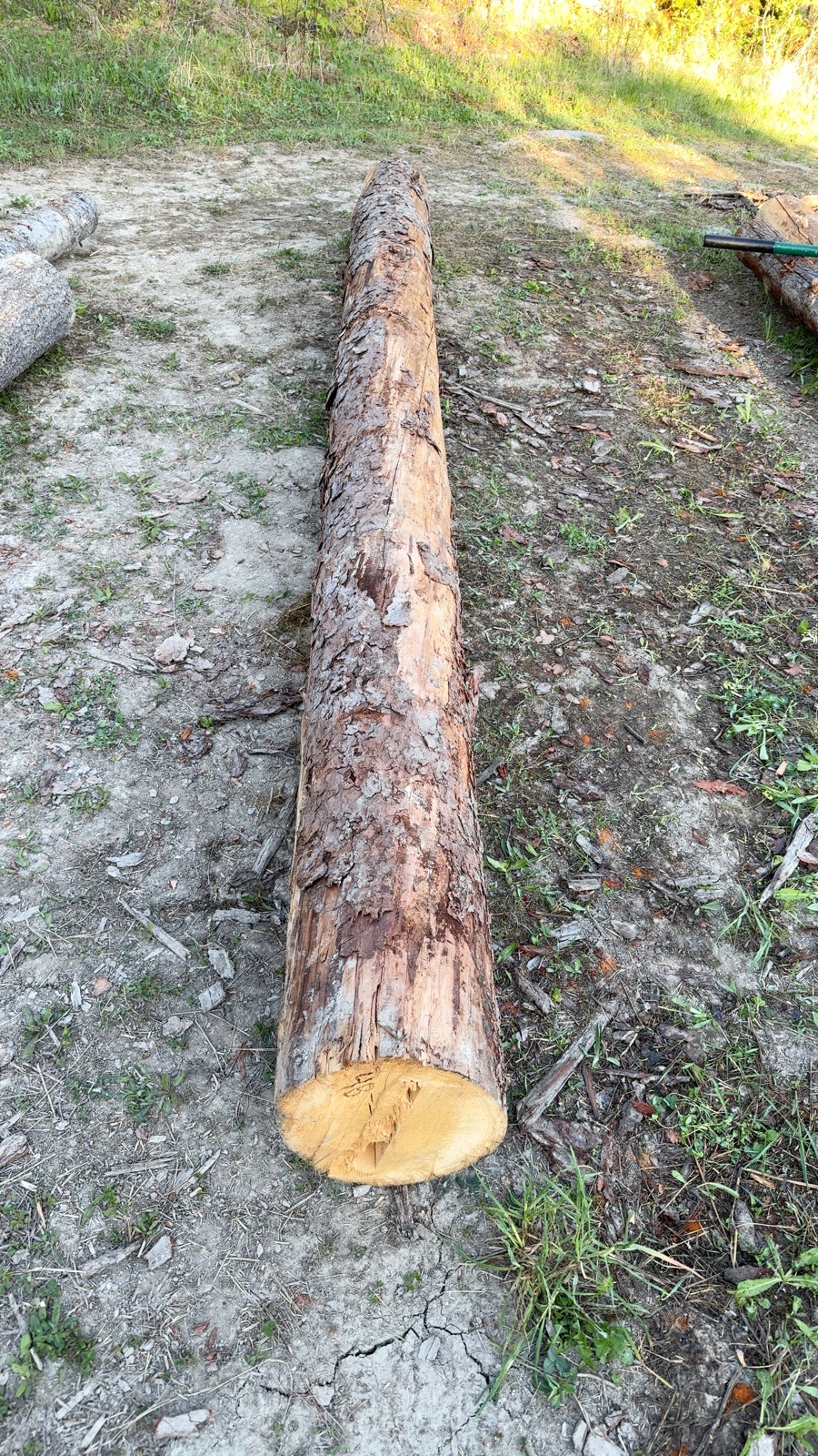 Log 4 barrel photo