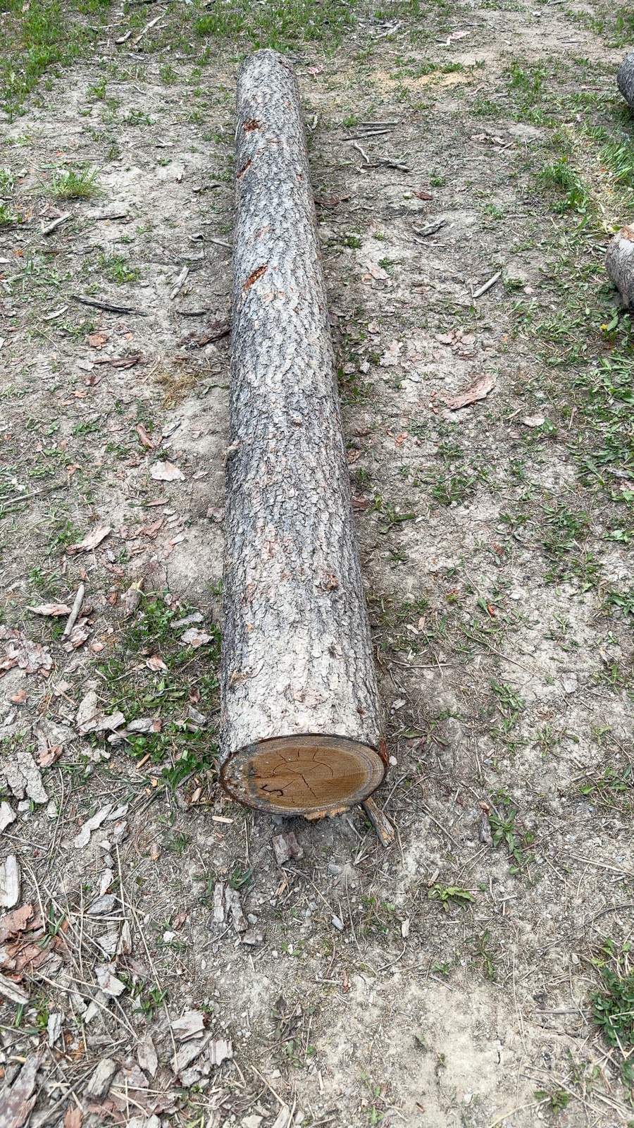 Log 5 barrel photo