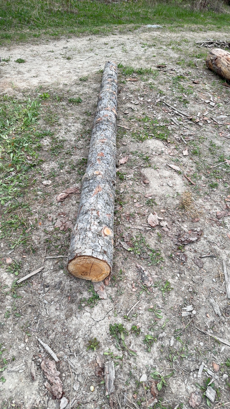 Log 6 barrel photo