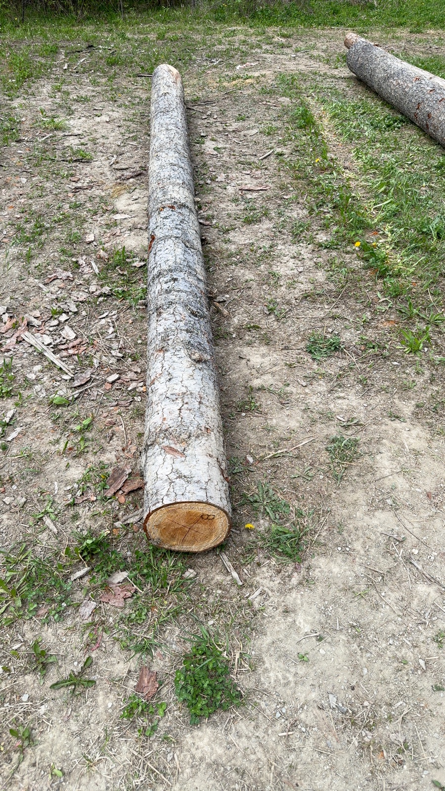Log 8 barrel photo