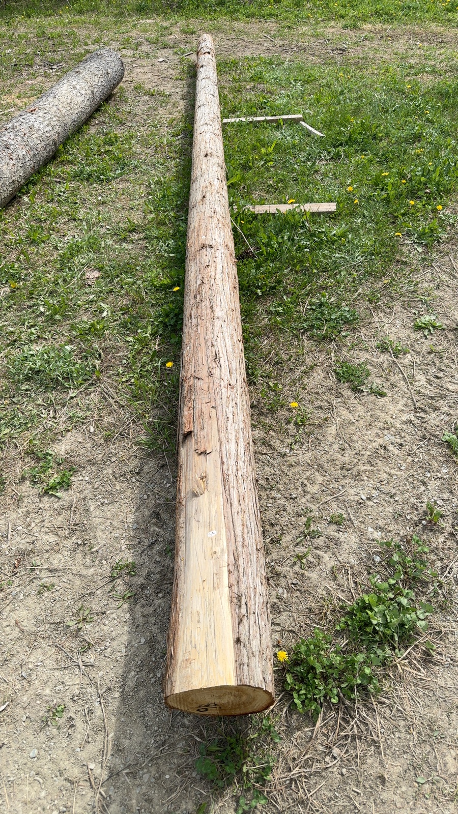 Log 9 barrel photo